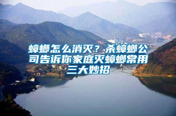 蟑螂怎么消滅？殺蟑螂公司告訴你家庭滅蟑螂常用三大妙招