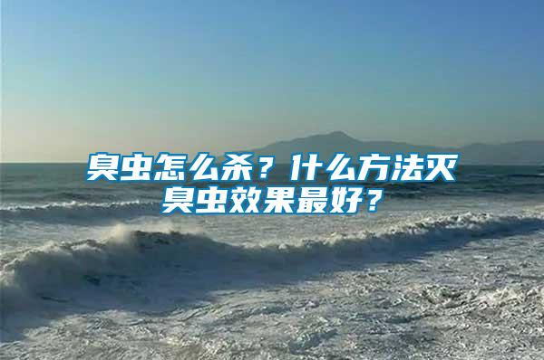 臭蟲怎么殺？什么方法滅臭蟲效果最好？