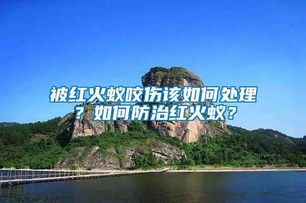 被紅火蟻咬傷該如何處理？如何防治紅火蟻？