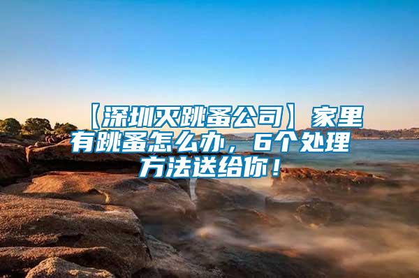 【深圳滅跳蚤公司】家里有跳蚤怎么辦，6個處理方法送給你！