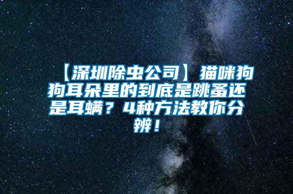 【深圳除蟲公司】貓咪狗狗耳朵里的到底是跳蚤還是耳螨？4種方法教你分辨！