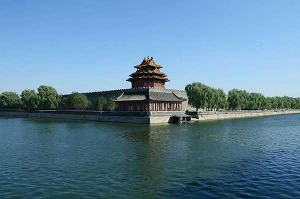 深圳殺蟲公司看飼養(yǎng)倉(cāng)鼠應(yīng)該注意什么