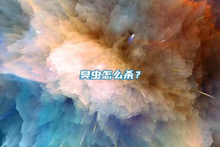 臭蟲怎么殺？