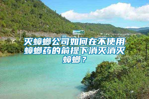 滅蟑螂公司如何在不使用蟑螂藥的前提下消滅消滅蟑螂？