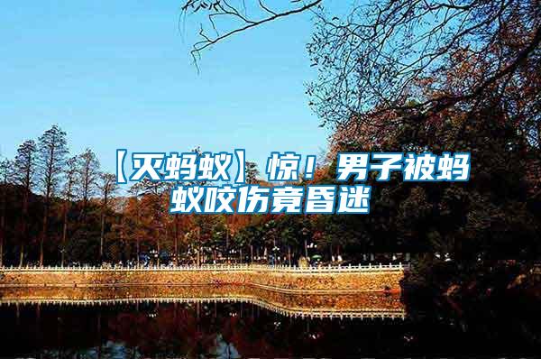 【滅螞蟻】驚！男子被螞蟻咬傷竟昏迷