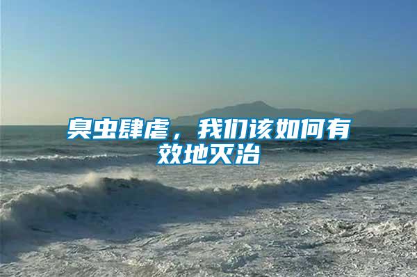 臭蟲肆虐，我們該如何有效地滅治