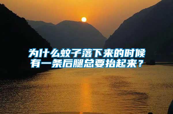 為什么蚊子落下來的時候有一條后腿總要抬起來？