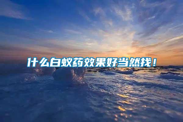 什么白蟻藥效果好當(dāng)然找！