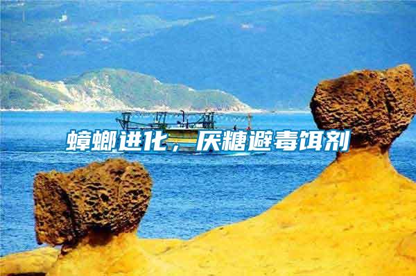蟑螂進化，厭糖避毒餌劑