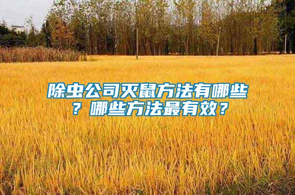 除蟲公司滅鼠方法有哪些？哪些方法最有效？