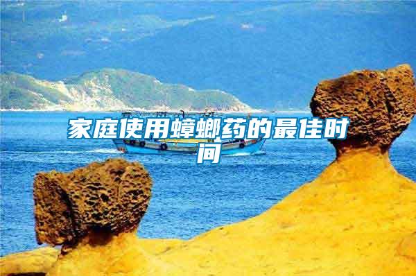 家庭使用蟑螂藥的最佳時(shí)間