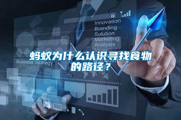 螞蟻為什么認(rèn)識尋找食物的路徑？