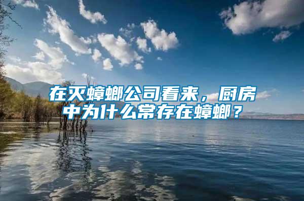 在滅蟑螂公司看來，廚房中為什么常存在蟑螂？