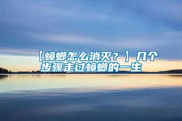【蟑螂怎么消滅？】幾個(gè)步驟走過蟑螂的一生
