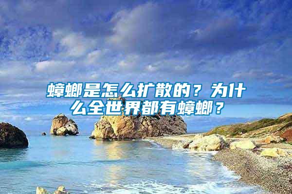 蟑螂是怎么擴(kuò)散的？為什么全世界都有蟑螂？