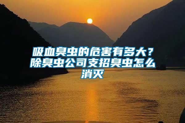 吸血臭蟲的危害有多大？除臭蟲公司支招臭蟲怎么消滅