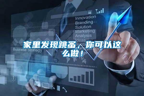 家里發(fā)現(xiàn)跳蚤，你可以這么做！