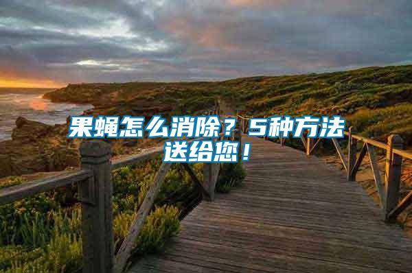 果蠅怎么消除？5種方法送給您！