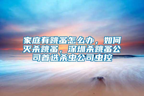 家庭有跳蚤怎么辦，如何滅殺跳蚤，深圳殺跳蚤公司首選殺蟲公司蟲控