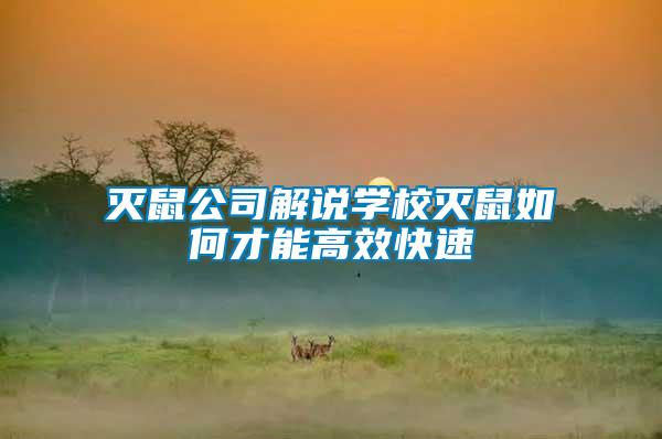 滅鼠公司解說學校滅鼠如何才能高效快速
