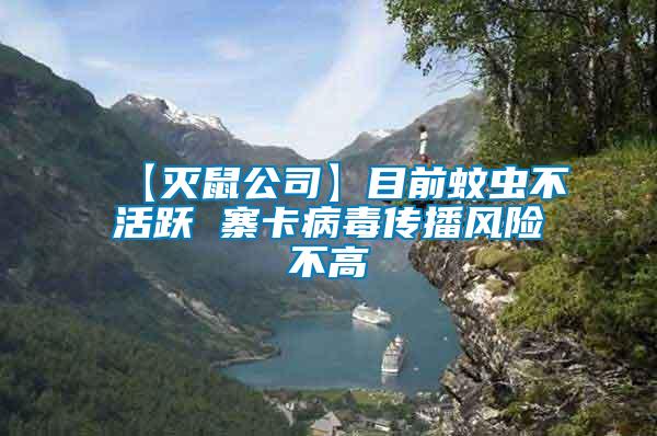 【滅鼠公司】目前蚊蟲(chóng)不活躍 寨卡病毒傳播風(fēng)險(xiǎn)不高