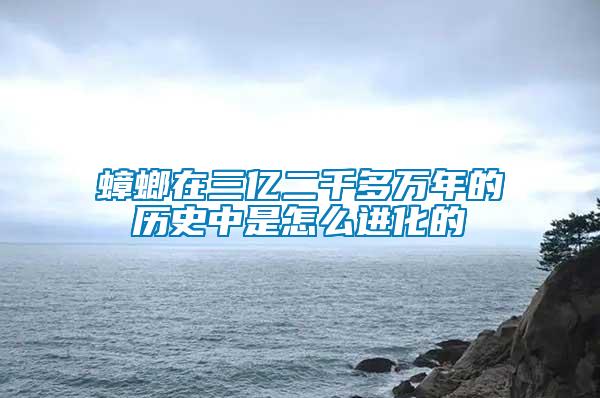 蟑螂在三億二千多萬(wàn)年的歷史中是怎么進(jìn)化的