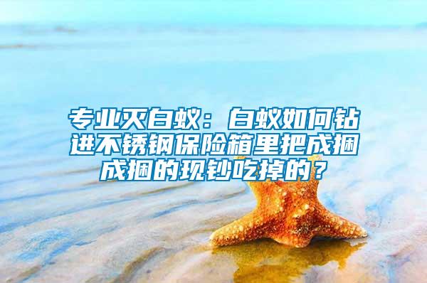 專(zhuān)業(yè)滅白蟻：白蟻如何鉆進(jìn)不銹鋼保險(xiǎn)箱里把成捆成捆的現(xiàn)鈔吃掉的？