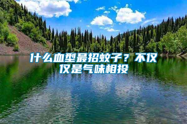 什么血型最招蚊子？不僅僅是氣味相投