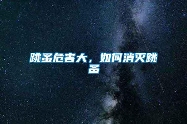 跳蚤危害大，如何消滅跳蚤