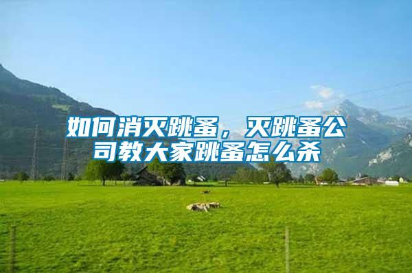 如何消滅跳蚤，滅跳蚤公司教大家跳蚤怎么殺