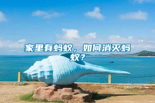 家里有螞蟻，如何消滅螞蟻？