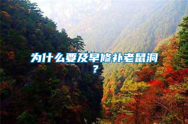 為什么要及早修補(bǔ)老鼠洞？