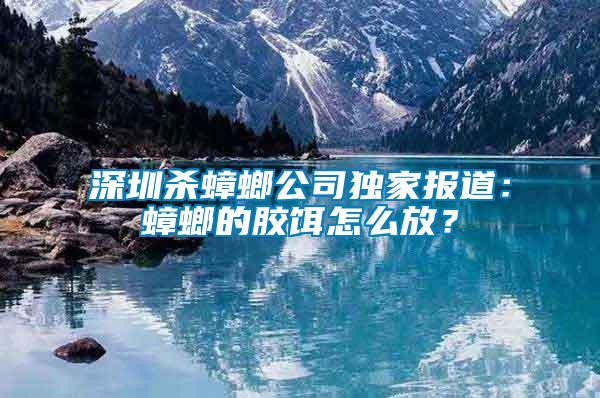 深圳殺蟑螂公司獨家報道：蟑螂的膠餌怎么放？