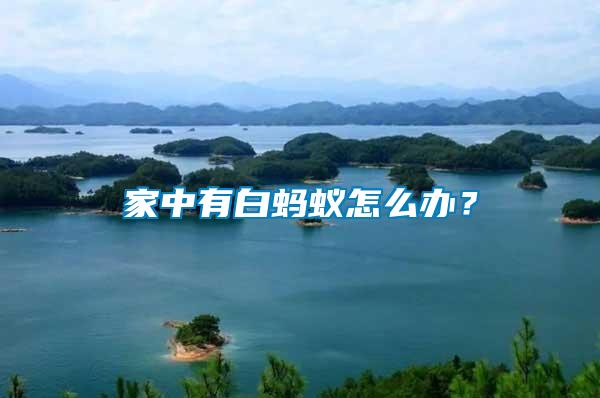家中有白螞蟻怎么辦？