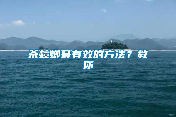 殺蟑螂最有效的方法？教你