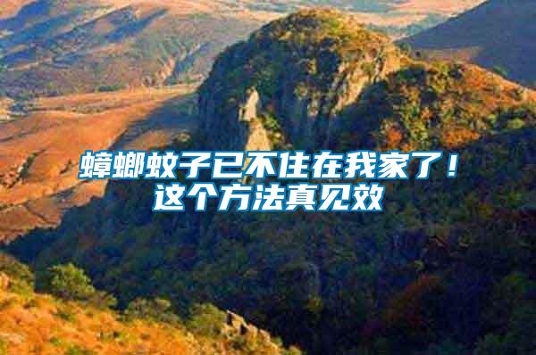 蟑螂蚊子已不住在我家了！這個(gè)方法真見效
