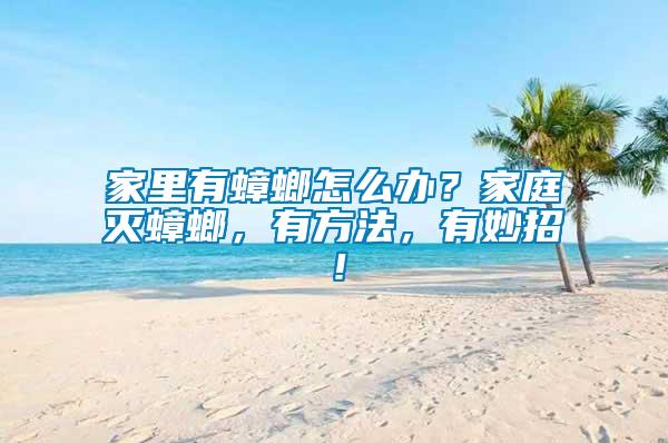 家里有蟑螂怎么辦？家庭滅蟑螂，有方法，有妙招！