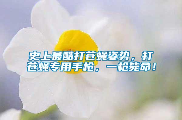 史上最酷打蒼蠅姿勢，打蒼蠅專用手槍，一槍斃命！