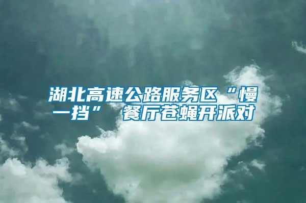 湖北高速公路服務(wù)區(qū)“慢一擋” 餐廳蒼蠅開派對(duì)