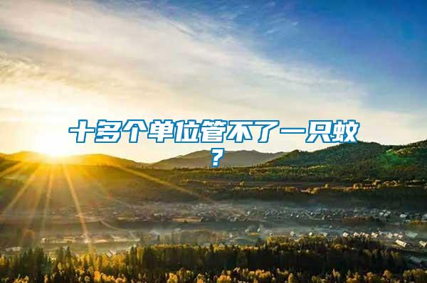 十多個(gè)單位管不了一只蚊？
