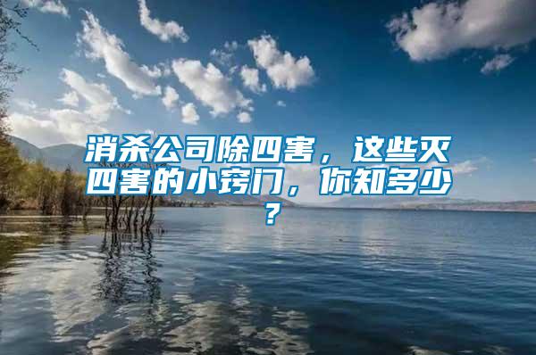 消殺公司除四害，這些滅四害的小竅門，你知多少？