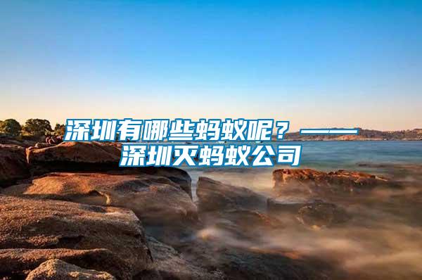 深圳有哪些螞蟻呢？——深圳滅螞蟻公司