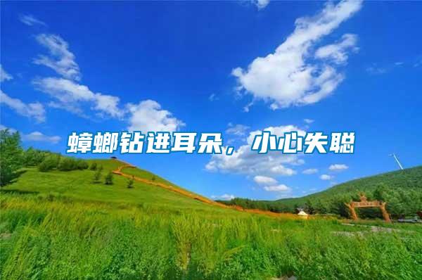 蟑螂鉆進(jìn)耳朵，小心失聰