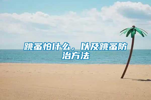 跳蚤怕什么，以及跳蚤防治方法