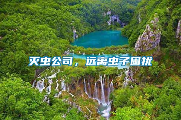 滅蟲公司，遠(yuǎn)離蟲子困擾