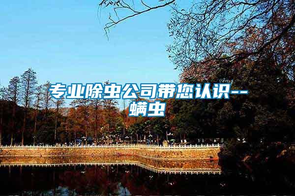 專業(yè)除蟲公司帶您認識--螨蟲