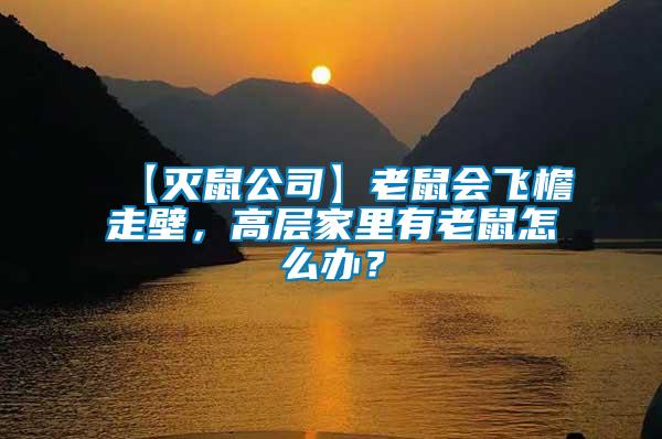 【滅鼠公司】老鼠會(huì)飛檐走壁，高層家里有老鼠怎么辦？