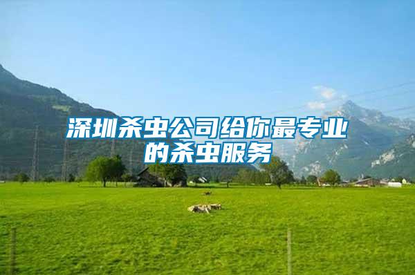 深圳殺蟲(chóng)公司給你最專業(yè)的殺蟲(chóng)服務(wù)