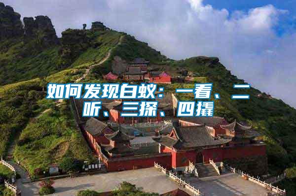 如何發(fā)現(xiàn)白蟻：一看、二聽、三探、四撬