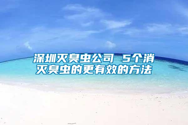 深圳滅臭蟲(chóng)公司 5個(gè)消滅臭蟲(chóng)的更有效的方法